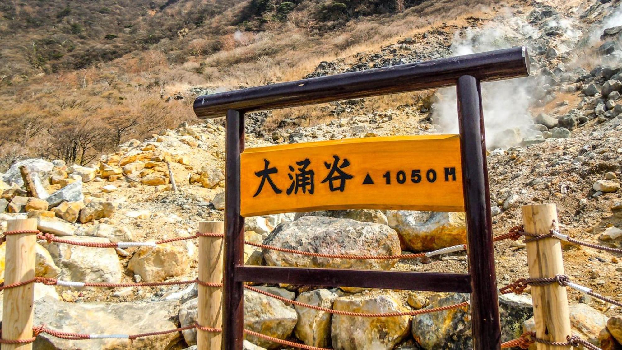 Toyoko Inn Gotemba Ekimae Εξωτερικό φωτογραφία